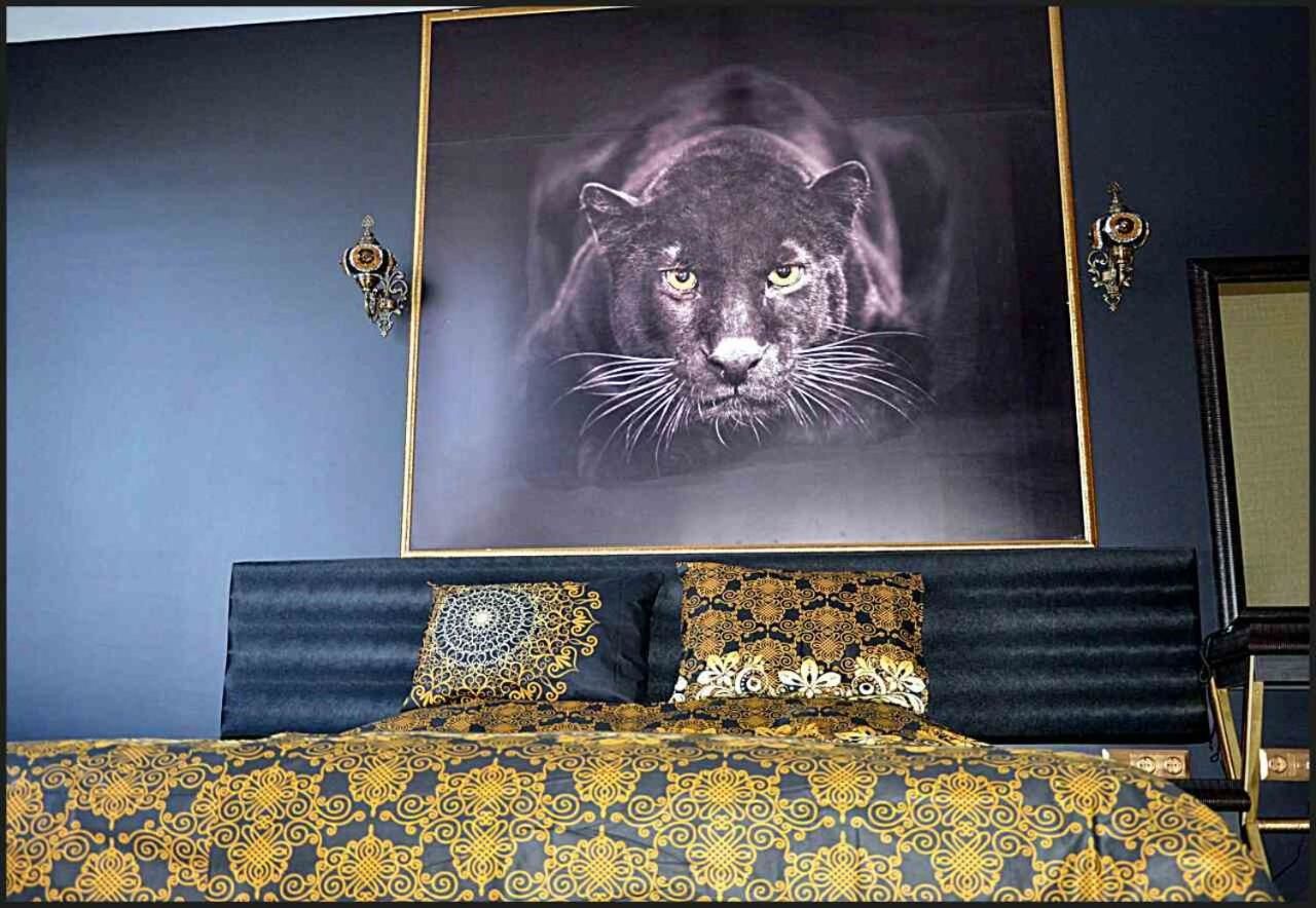 Отель Hotel Africa Хасково